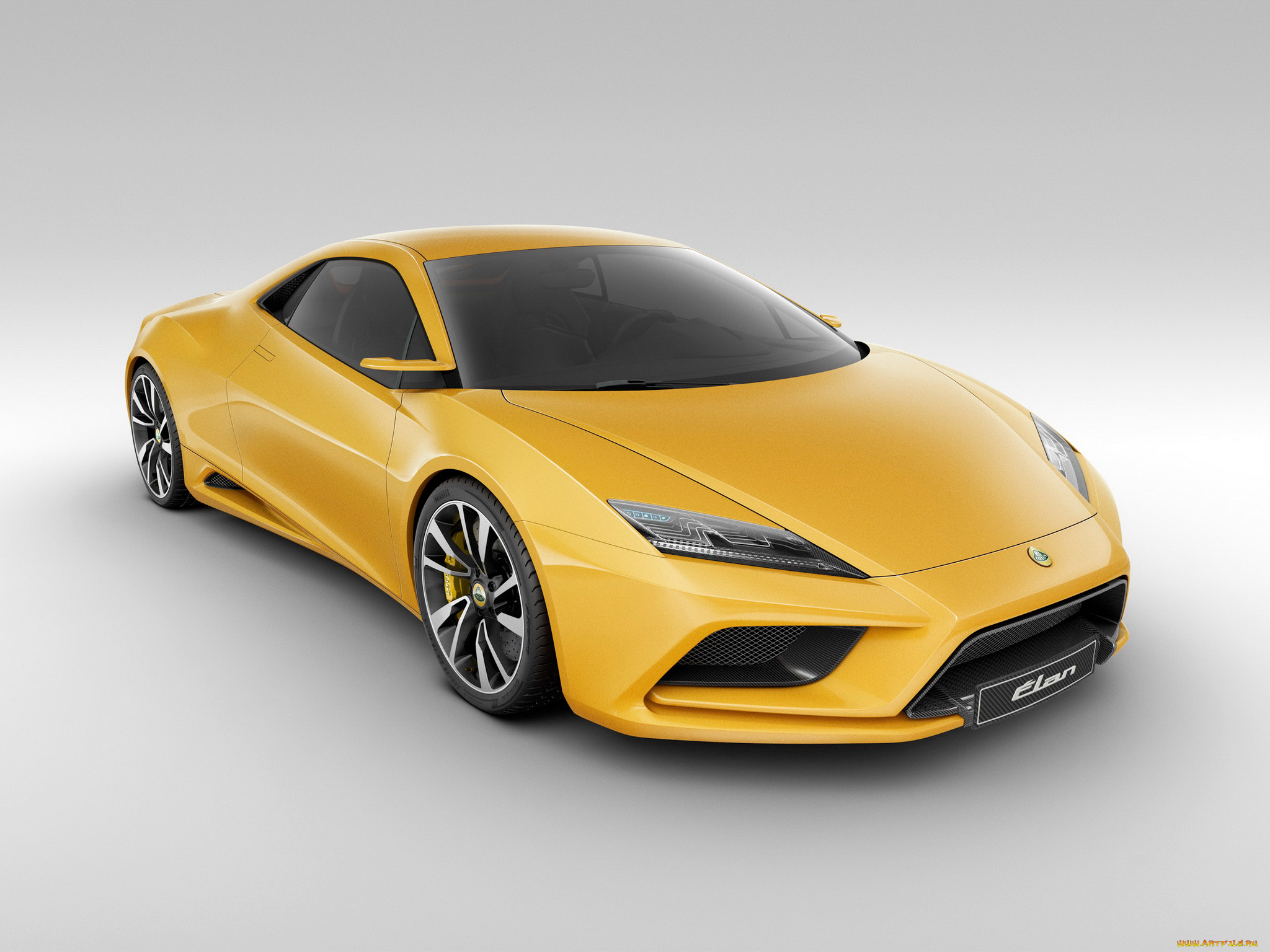 , lotus